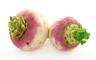 Turnip Bunch