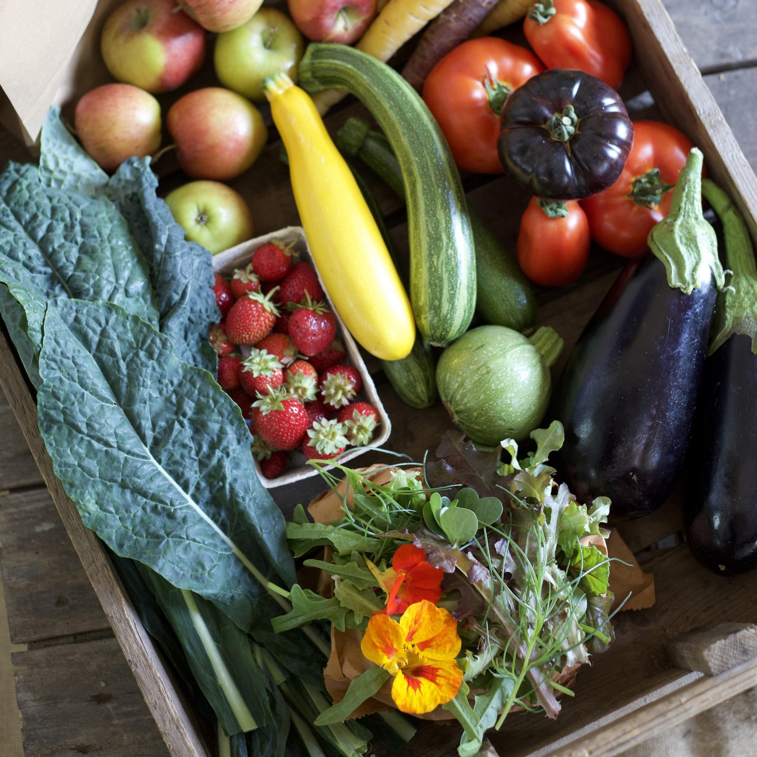 Veg bag subscription - Large (Purple)