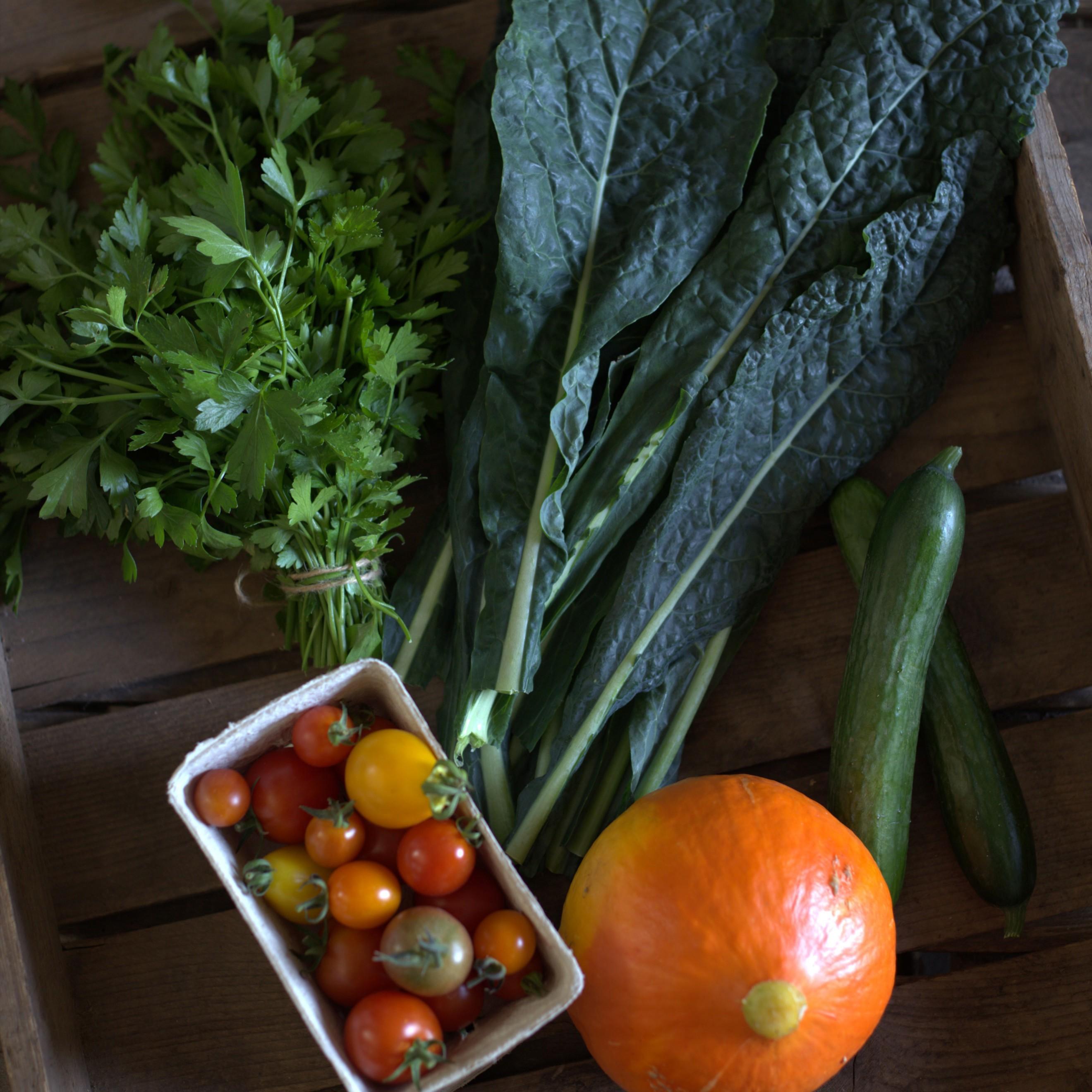 Veg bag subscription - Small (Green)