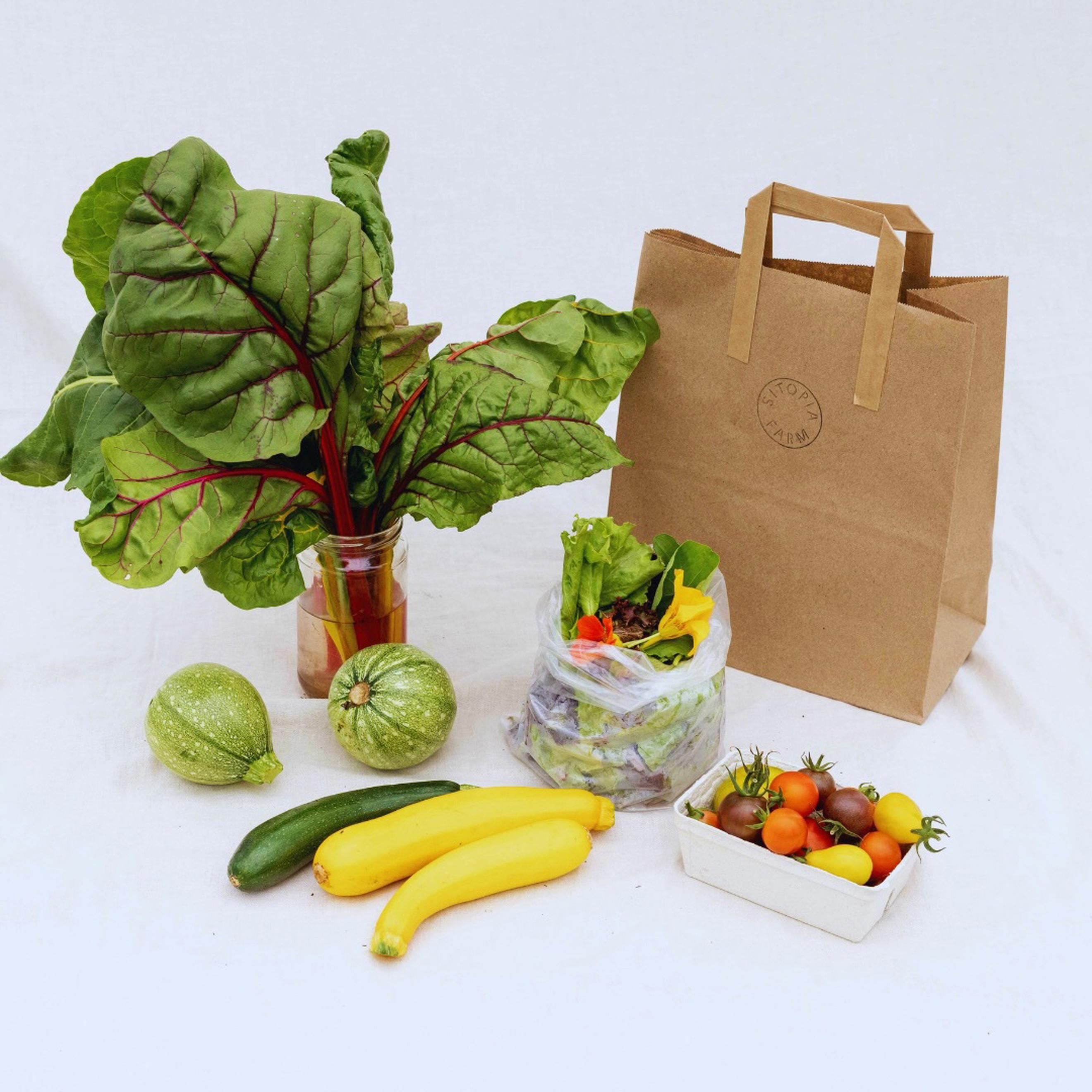 Veg bag subscription - Regular no potatoes/onions (Green)