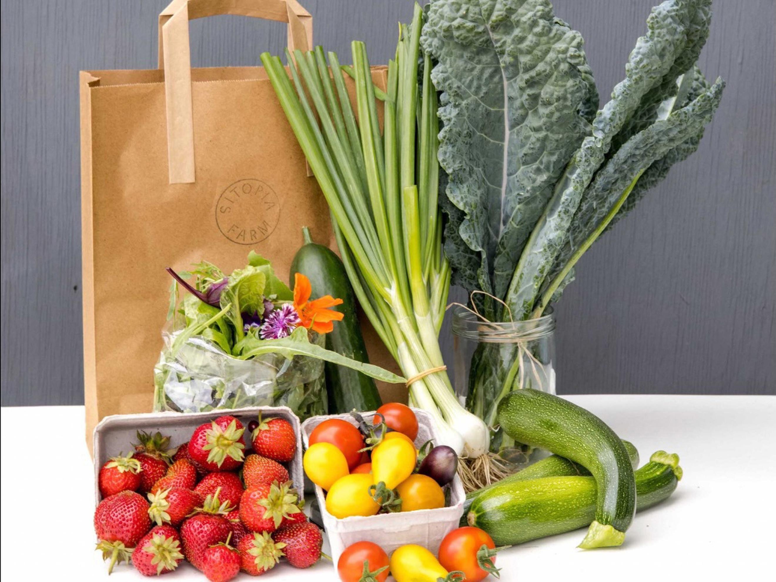 Veg bag subscription - Large no potatoes/onions (Orange)