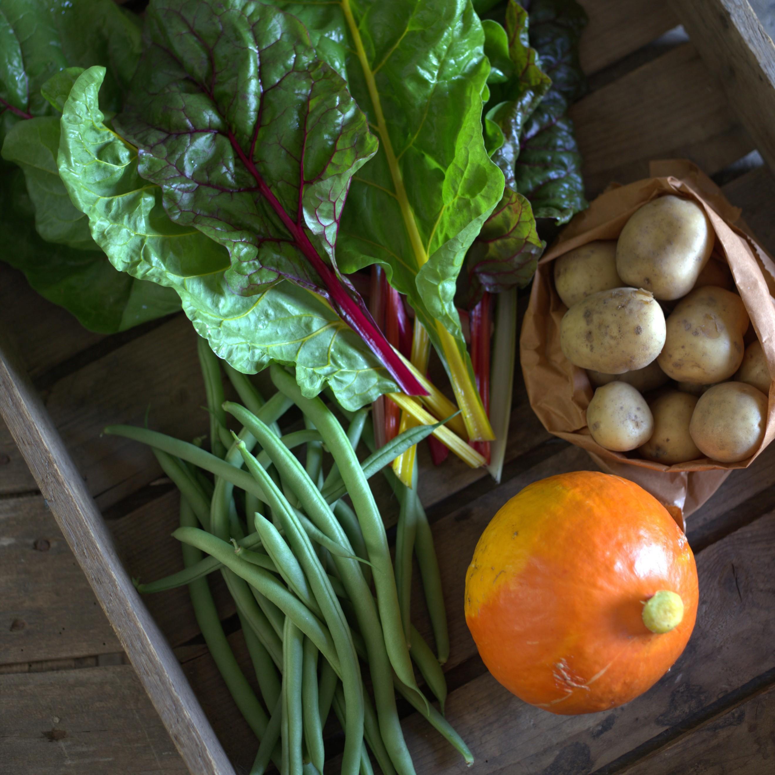 Veg bag subscription - Small (Yellow)
