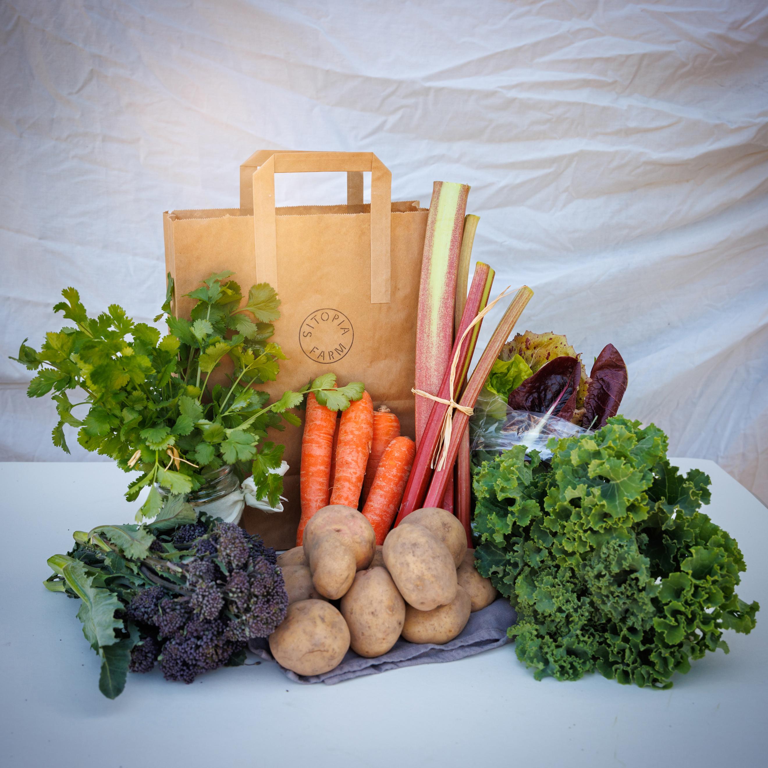 Veg bag subscription - Large with potatoes/onions (Blue)