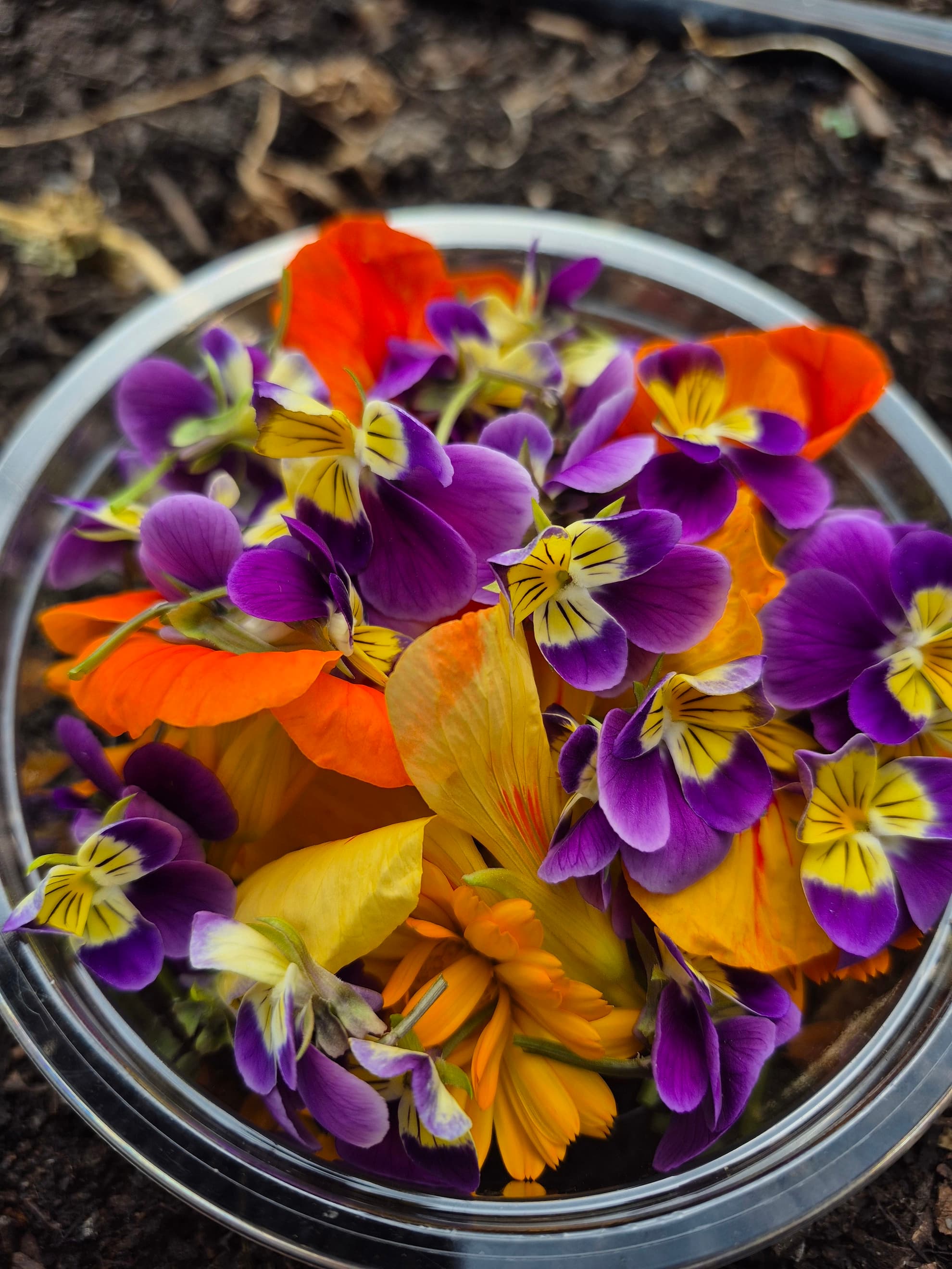 Punnet of Edible Flowers