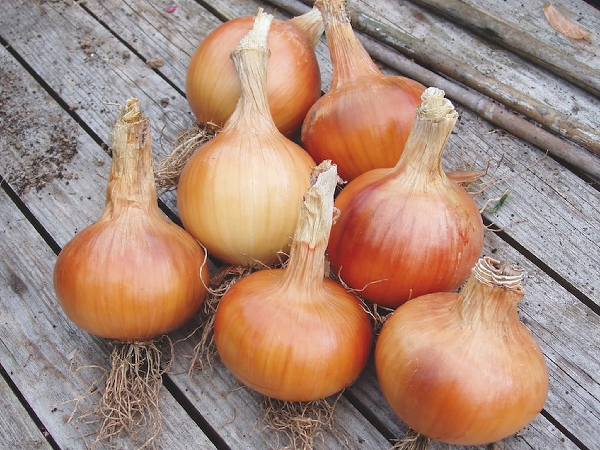 Onions