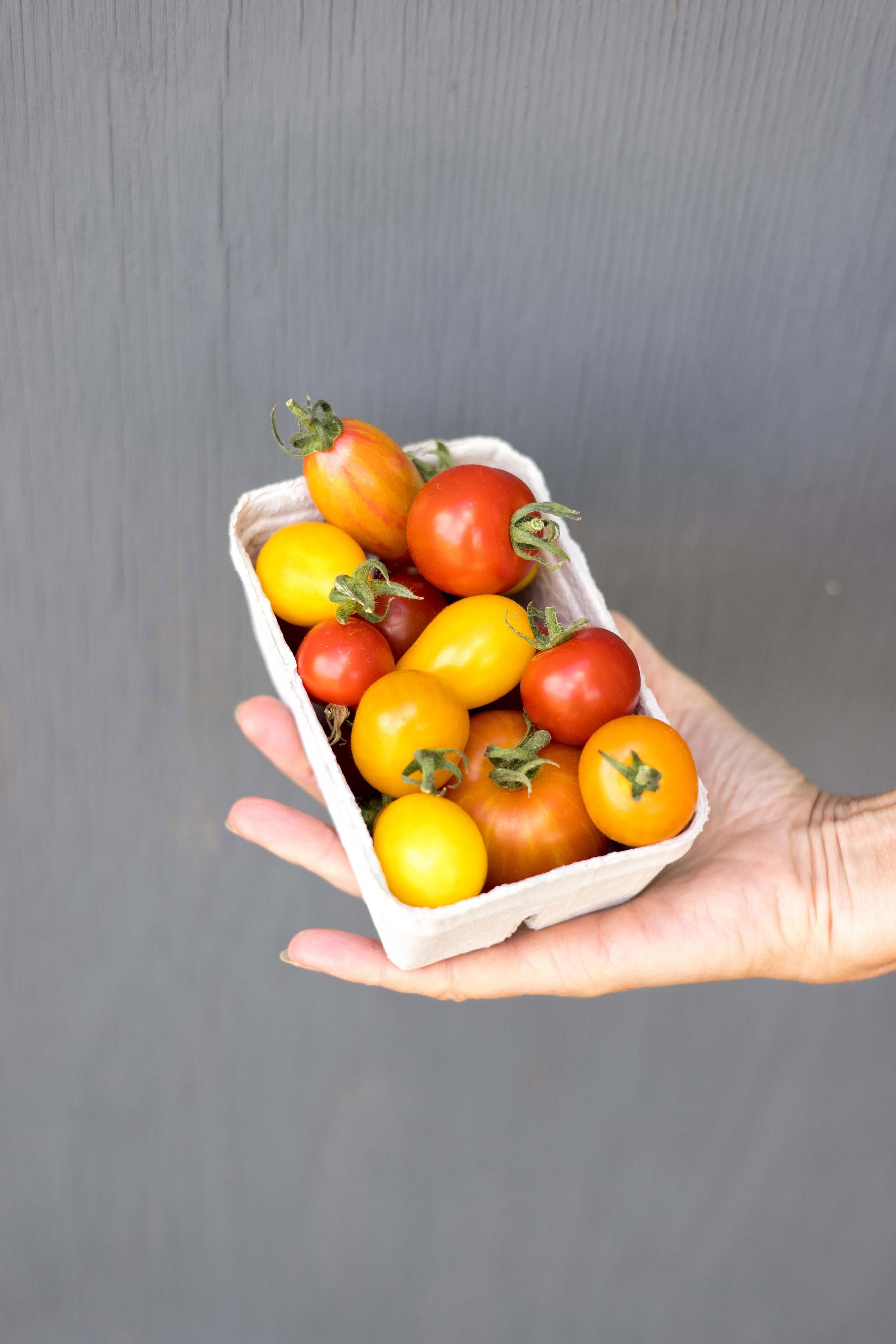 Tomato punnet, small